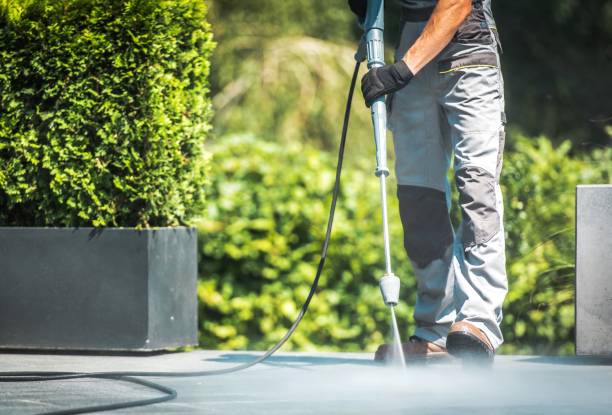 Best Building Exterior Washing  in Loogootee, IN