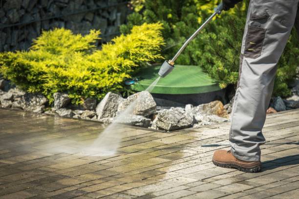 Best Pool Deck Cleaning  in Loogootee, IN