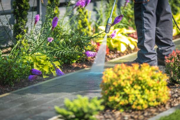 Best Dumpster Area Cleaning  in Loogootee, IN
