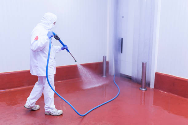 Best Gas Station Cleaning  in Loogootee, IN
